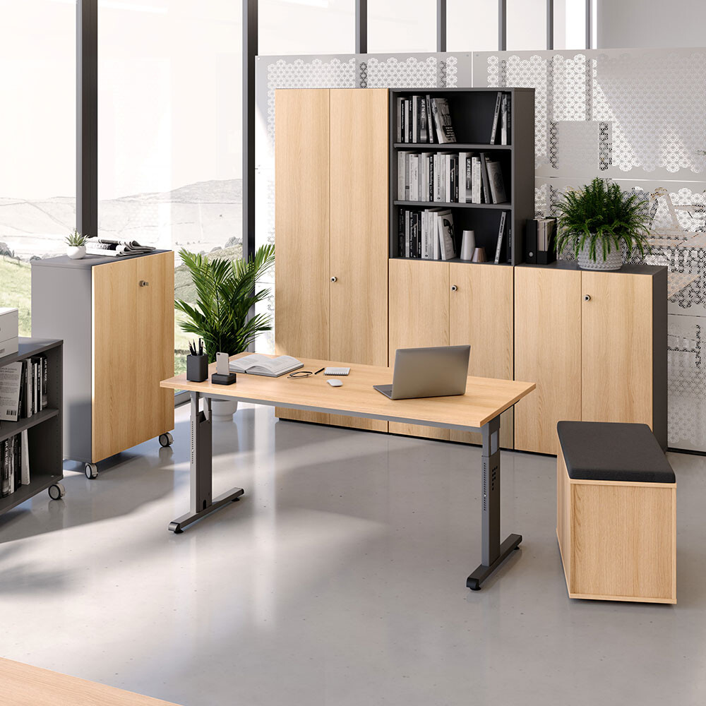Hammerbacher Serie O Ergonomischer Schreibtisch Hohenverstellbar Os