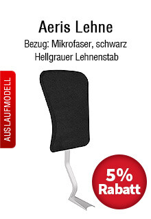 Aeris Lehne mit Mikrofaser-Bezug und hellgrauem Lehnenstab