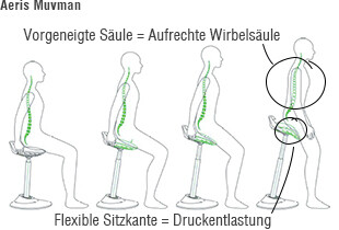 Muvman Schema
