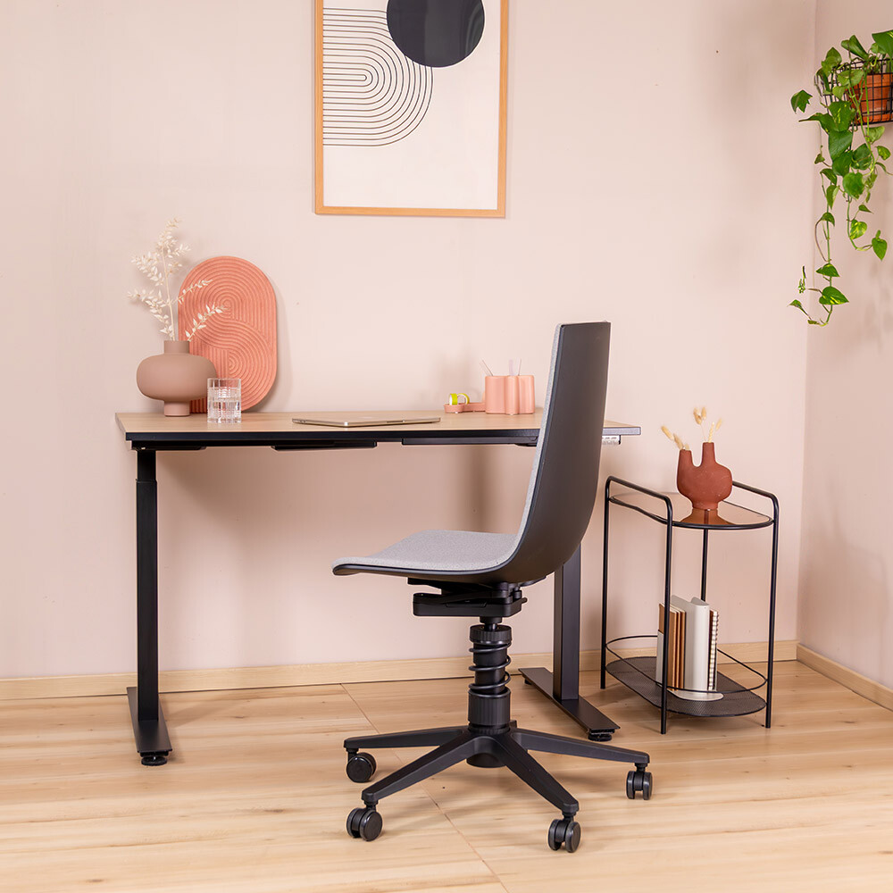 Aeris Linu mit Federbein steht vor einem Schreibtisch-Arbeitsplatz in einem modern eingerichteten Zimmer.